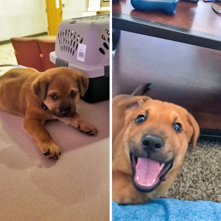 5a916651b28ee88b355403ab4f 5a916651b28ee88b355403ab4f