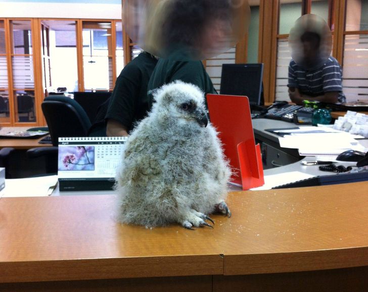 5a922850e2bfdc3dcaacd296cc