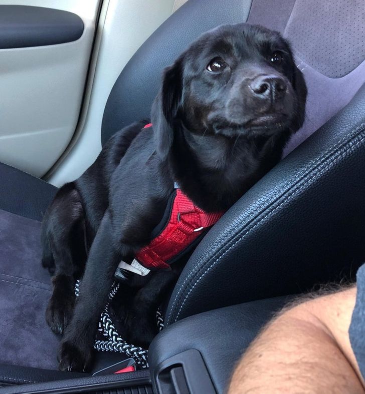 5a92a85f17ae75070b1b044373