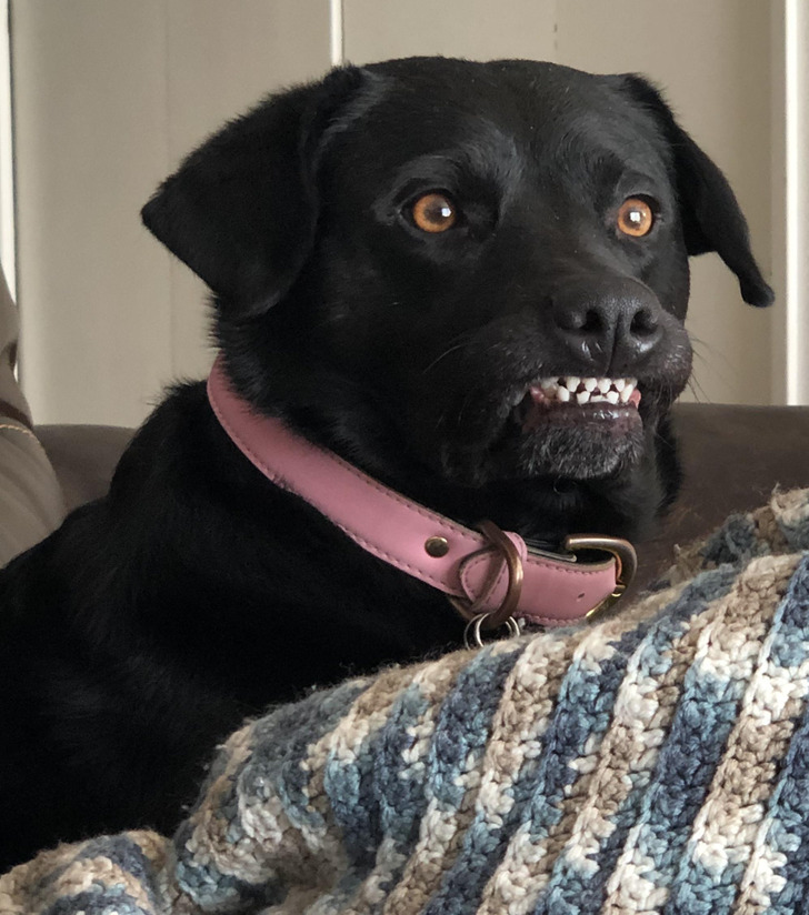 5a95dd561c86ce49b79a6555ac