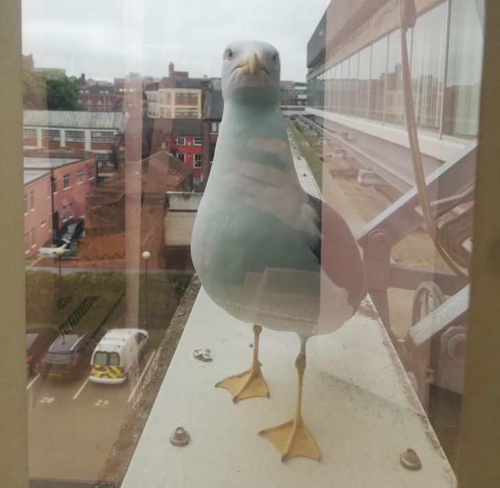 5a9fbd5aabbb158fbdbf2cc5dd