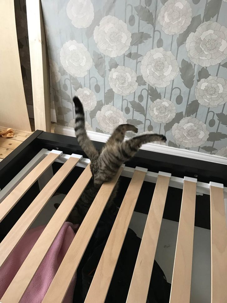 5aa23e5f3fa02ca7185d9395f3