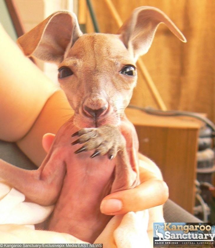 5aa8095b7eaf8799df718a0fe6