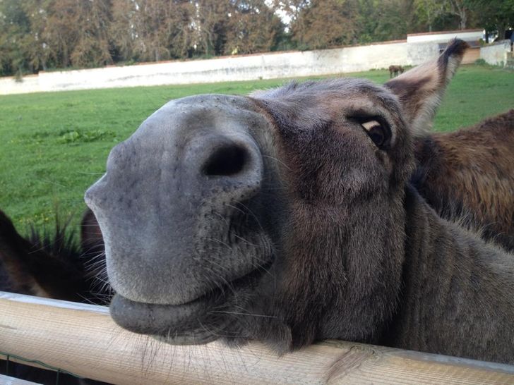 5aaff55e4e8e797f6214759966