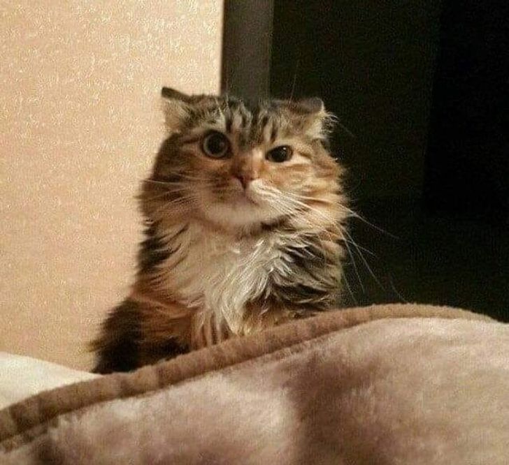 5ab5425c5fa81c1c65e1ecf95d