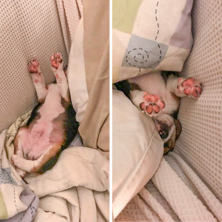 5ac63b5fccbe256d3912eacc94