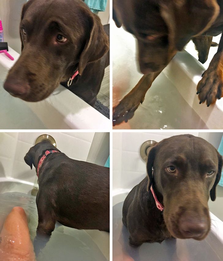 5acc105534a44d35b8134e21b3