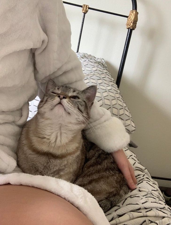 5ad3c15d57a5a805391547ec73