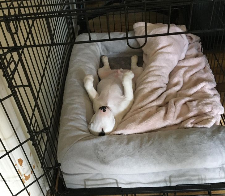 5ad4fb58d1a1a95ae56e5fc70f