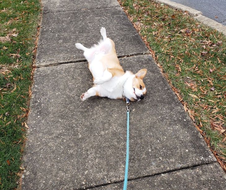 5ad70c5ce7bccead0b2d2ba314