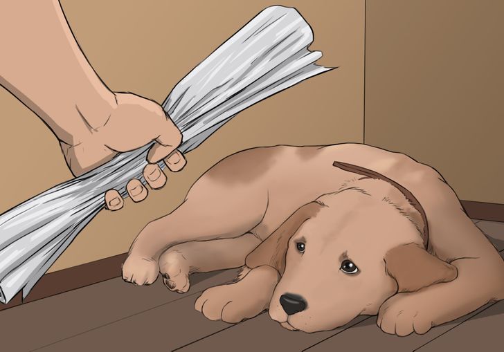 5ade985c57aa4afd42e161fef9