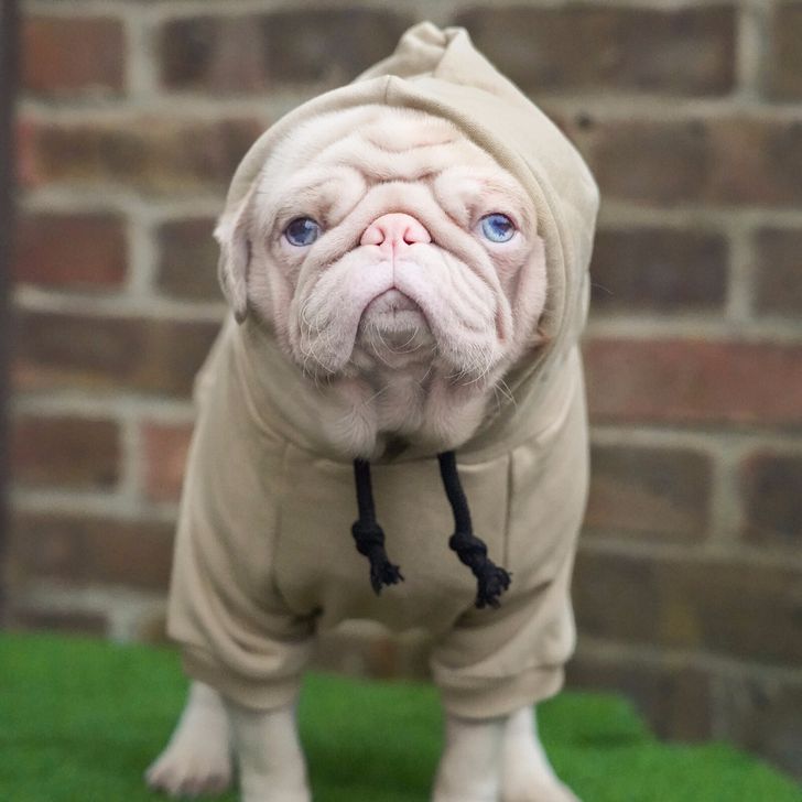 5ae40c5e57bb927213fb54c523