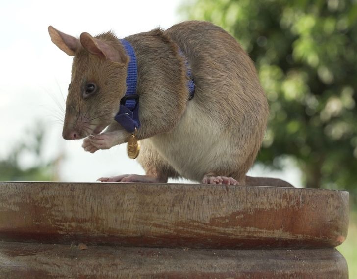 5ae4dc55fea253f2fad3f6e146