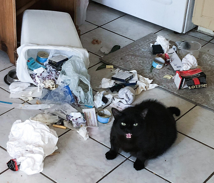 5ae6c156f9962def2e5520da7d 5ae6c156f9962def2e5520da7d