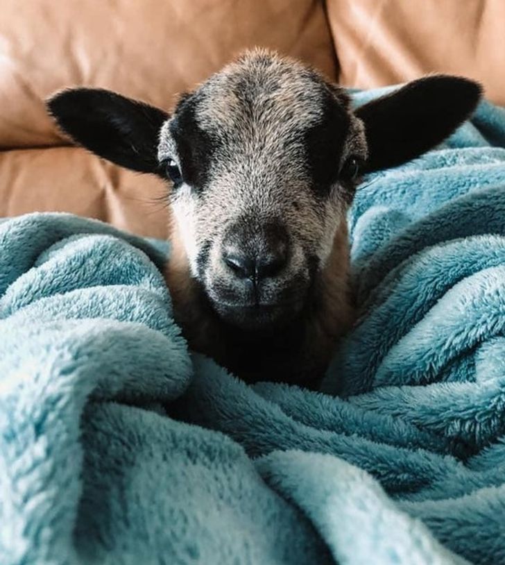 5ae7ff5c54aeec1d472d7f9bae