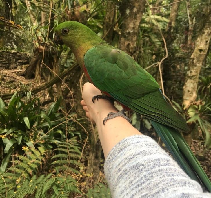 5aea1e5629b89e408081984cc3