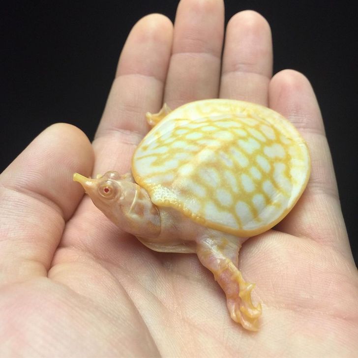 5aedcf5808992d9ce1d4f25f6e