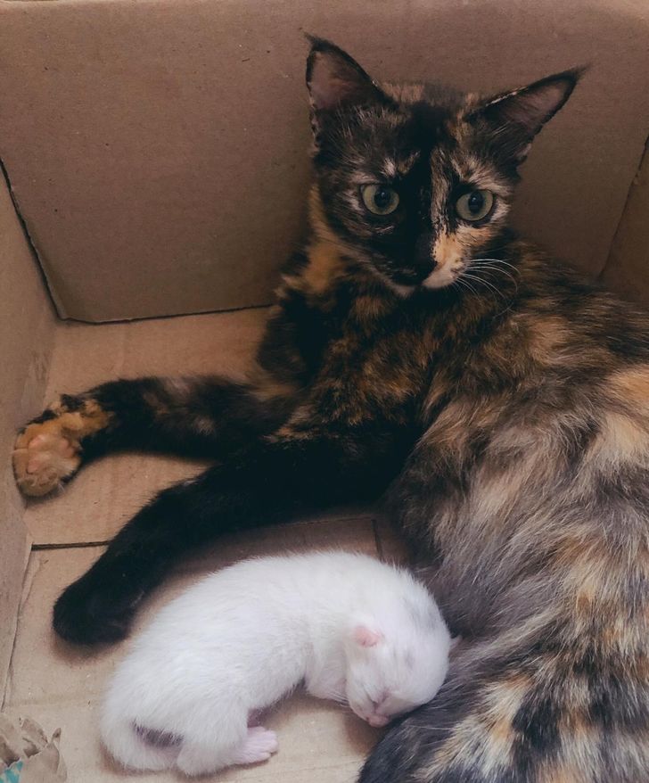 5aee2e54e4ad8b41619b271f05