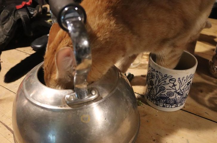 5af334552da529ec9b8fbd7fe3