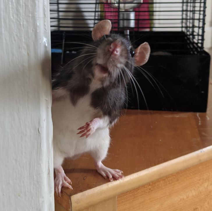 5af709565f9fc828e502a33068