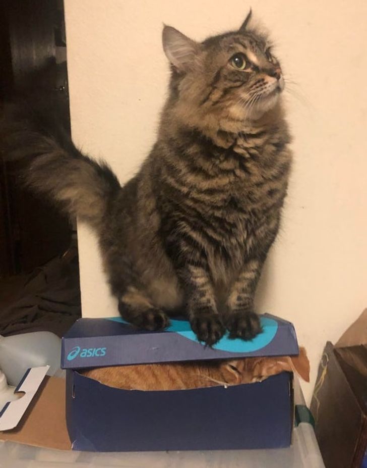 5af77852a689e08814466bc62e