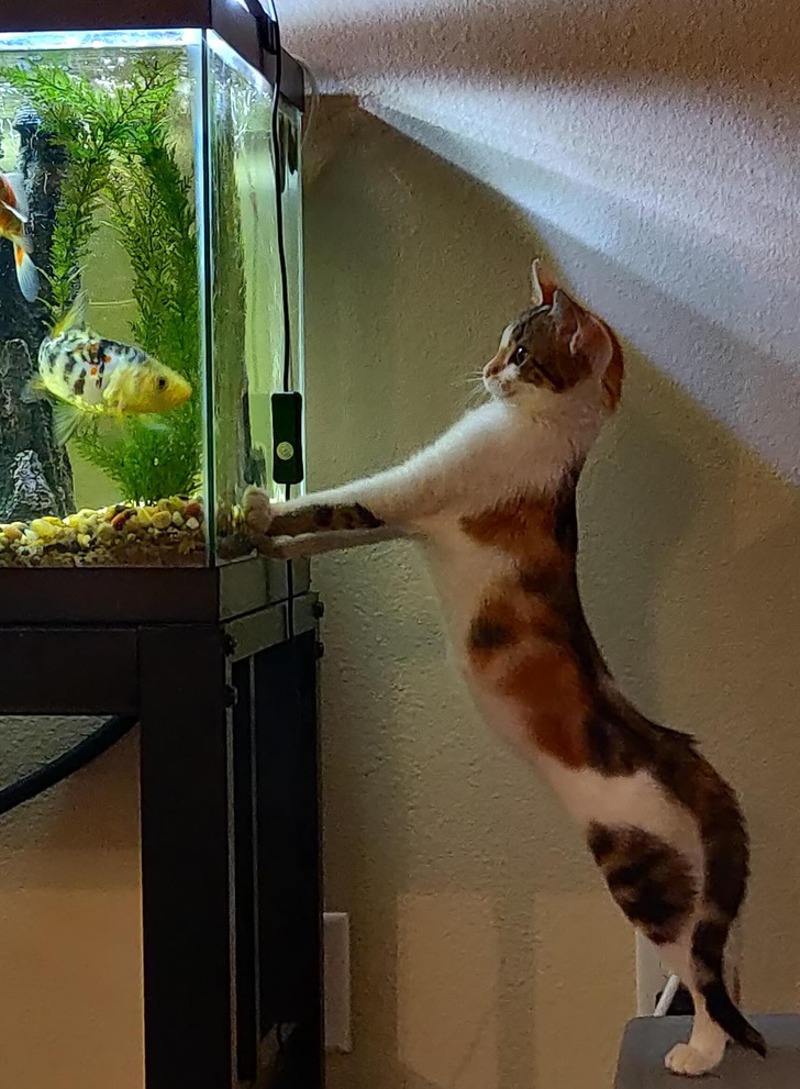 5aff375afb9020f21141911799 5aff375afb9020f21141911799