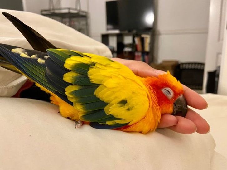 5aff77529fbb9cb2398f37247d