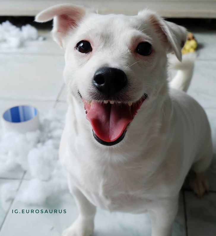 5b008558198ae11ecc29d5ddd5