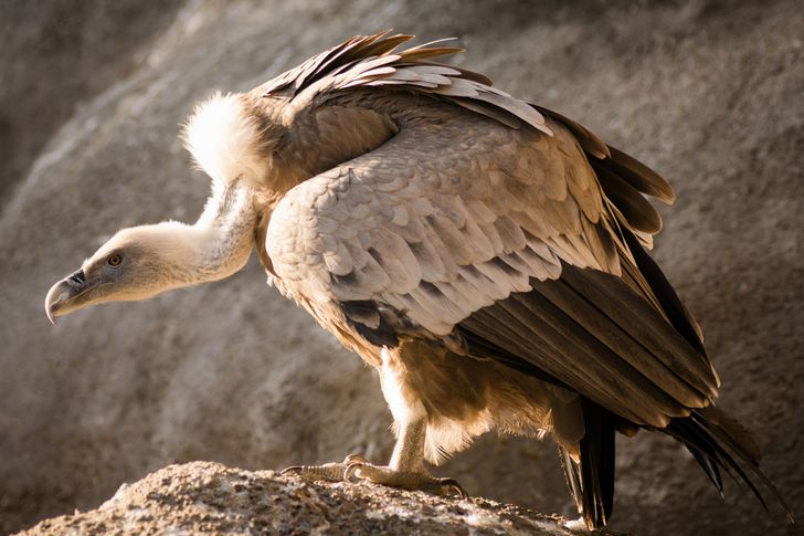 5b016d53d79d65e417c094c5e3