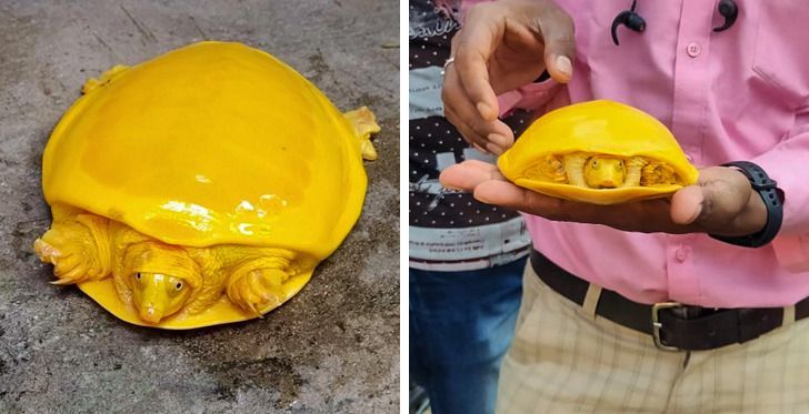 5b0d855ae699ff3aacb09be282