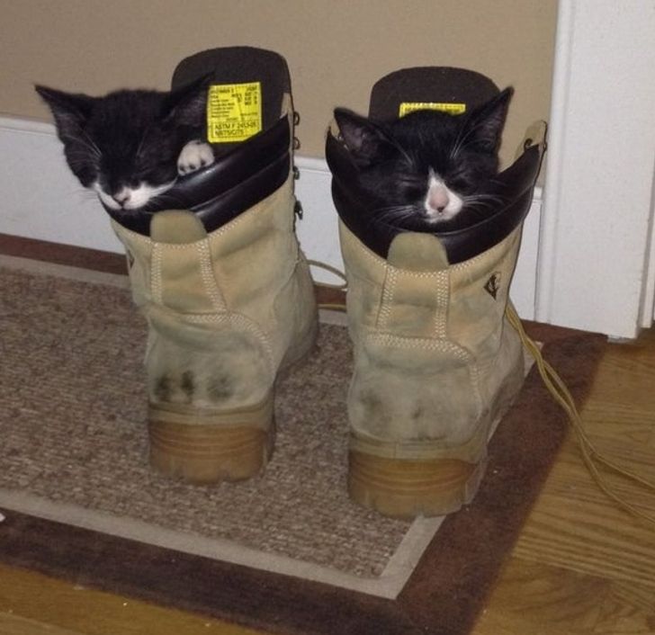 5b11c15b8caf0f38967642660b