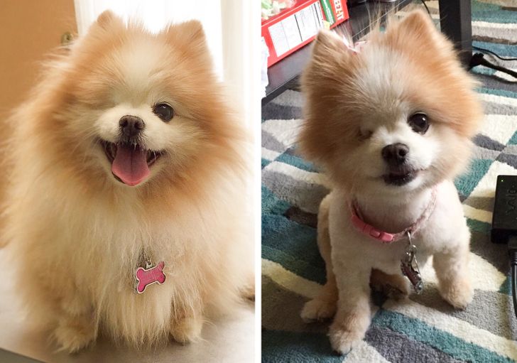 5b16465f0b8c2cd976435f9a94