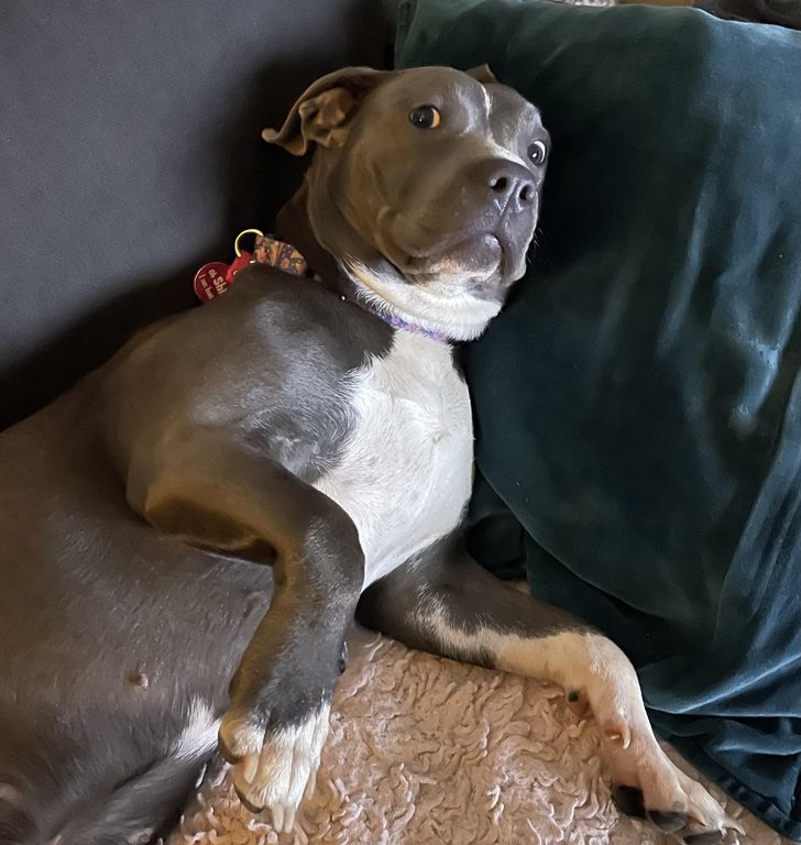 5b23aa5af7ae7b2e9f0c8ca2af