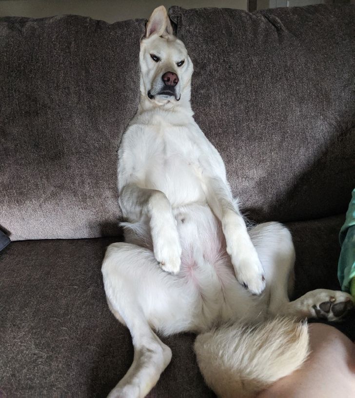 5b24955d1d8eff5e6577d8ac4e