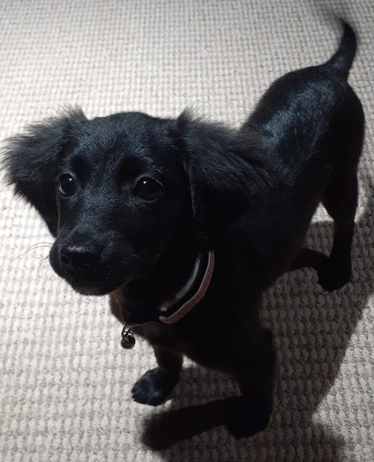 5b2515521fb76a72fd563e7d49