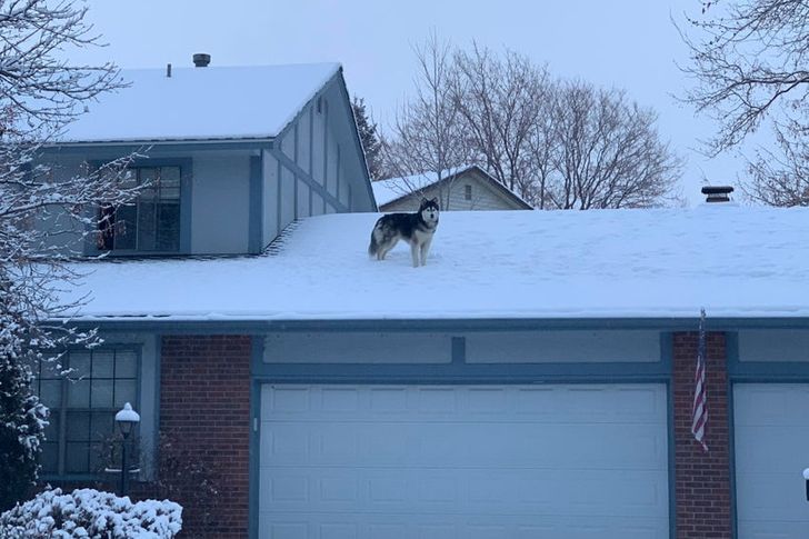 5b275857f698a494dfbfc66674