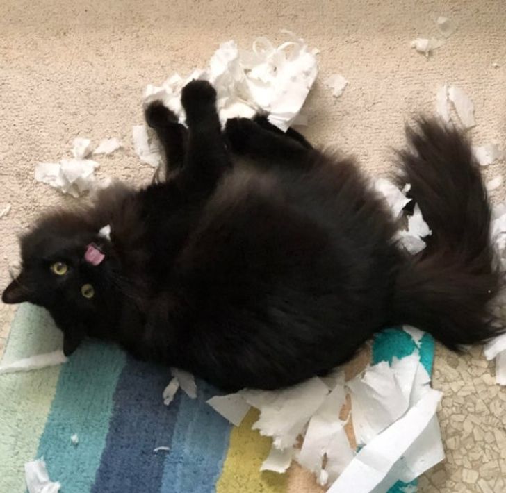 5b27d8593cb89a90788c3717d3