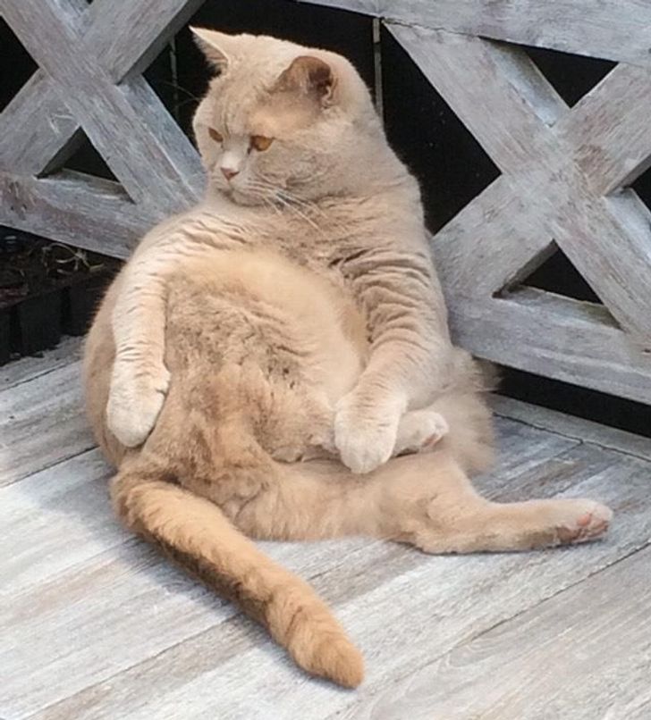 5b2baa5a29ae51c4d6f15909c8