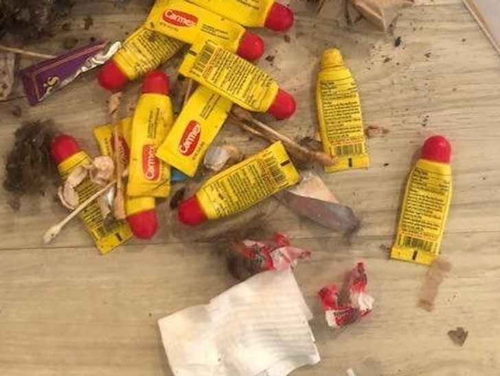 5b3292527a9b98612c71951a01