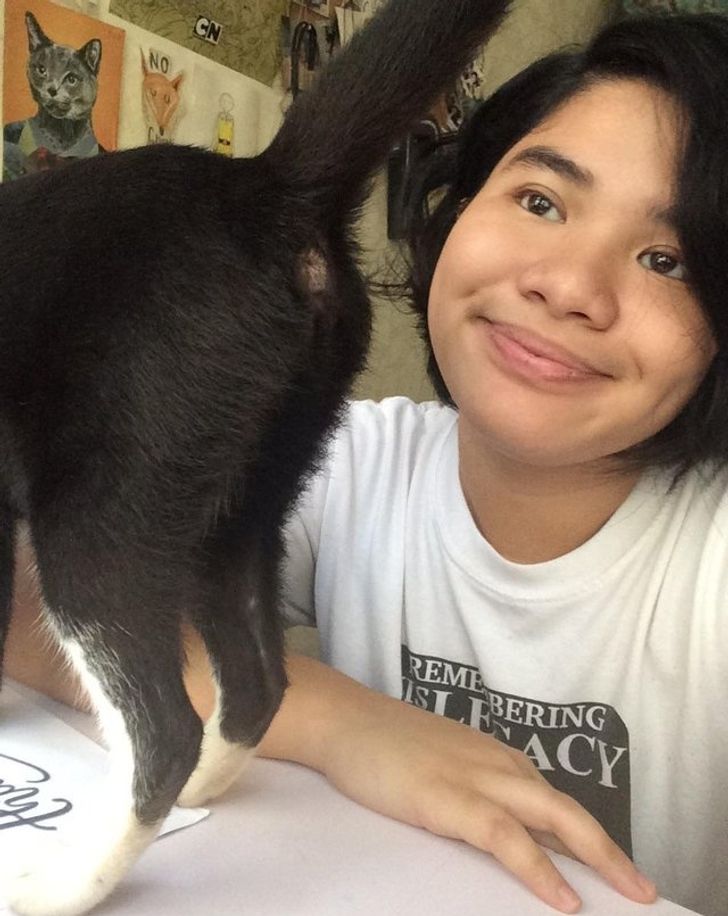 5b3a735b64810df5377d58a411