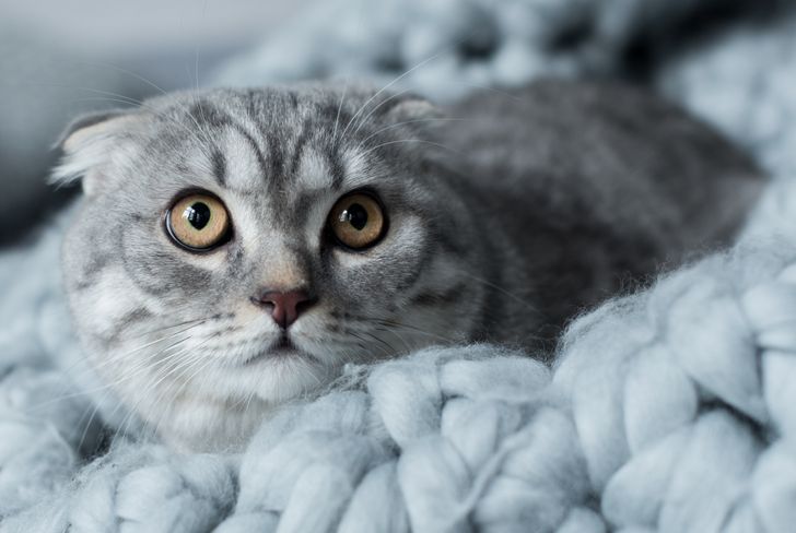 5b3ef65e2b86c79f333631b8f3