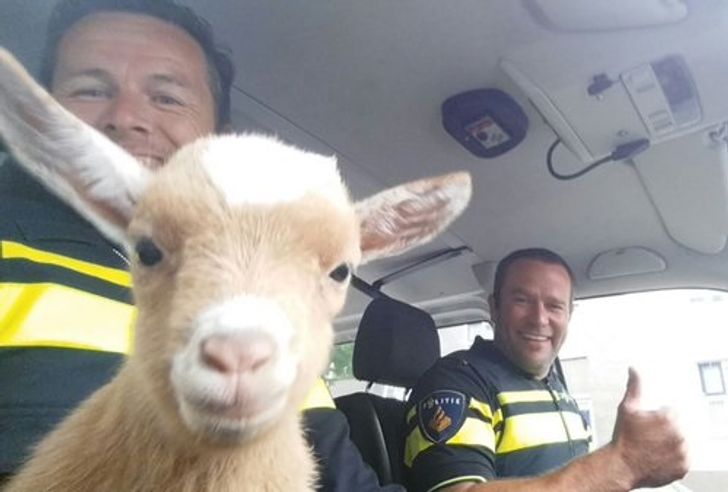 5b4c97547ebf88e480499cc041