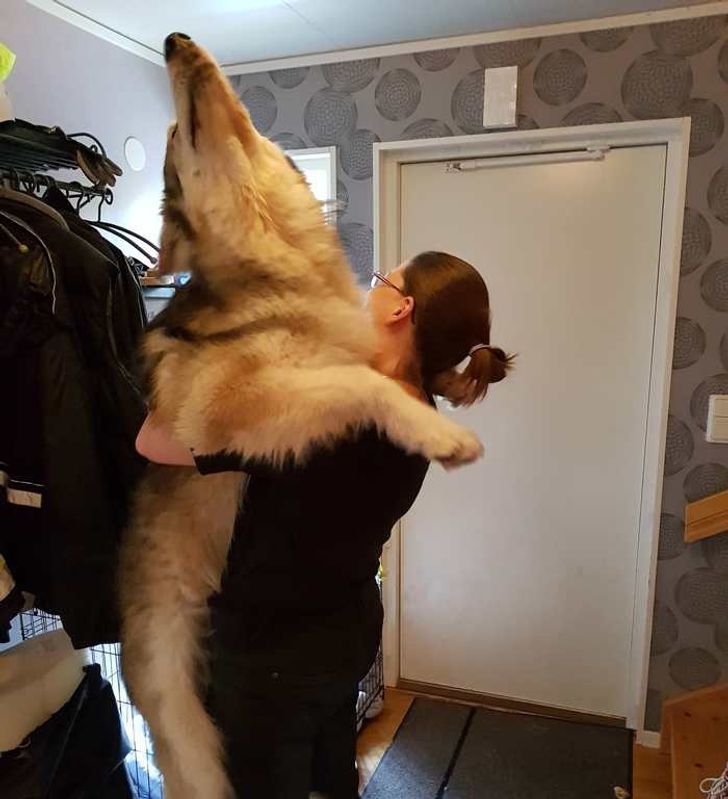 5b5c6058e894a09241d66ffc5a