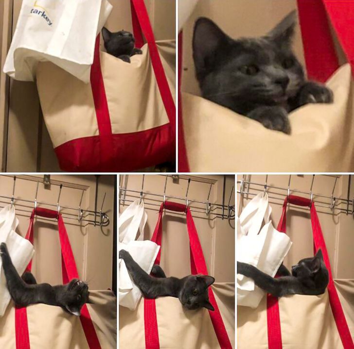 5b637f5d33af8c01e5c9b48bbf