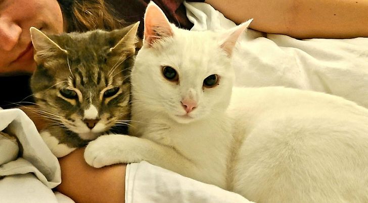 5b644358f7a7f7a005688ffb38