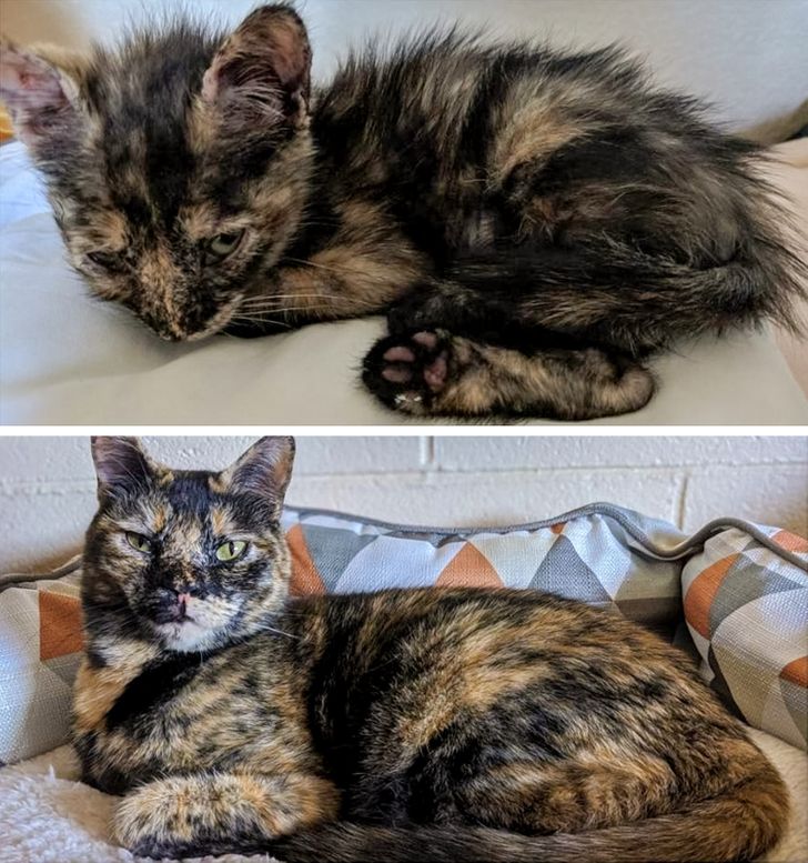 5b64ad59c68d95f6a6c033c27d