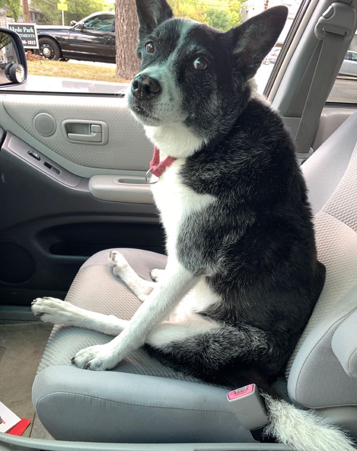 5b6d5159eea256ef803dd1d340