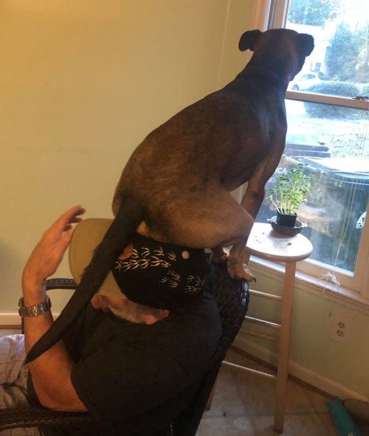 5b6da15abfa6ae4d98e9e1316a