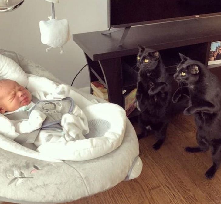 5b776552678b0809ef44b9b024