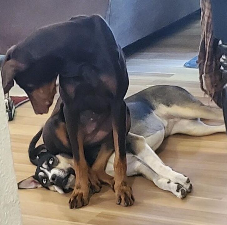 5b8d525d2ab4351b89fd934bf6